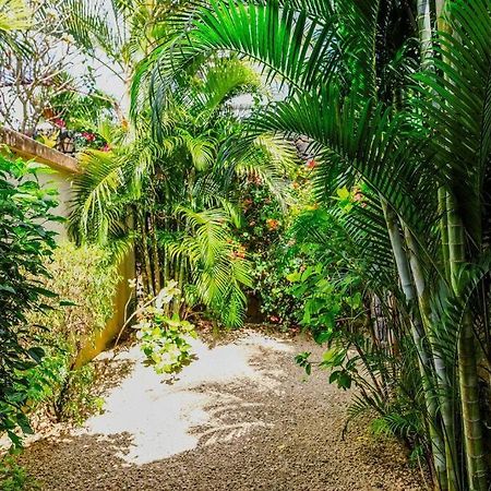 Villa Tropicale Balinaise Intimiste Grand Bay Exteriér fotografie