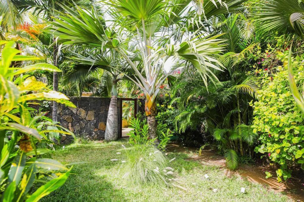 Villa Tropicale Balinaise Intimiste Grand Bay Exteriér fotografie