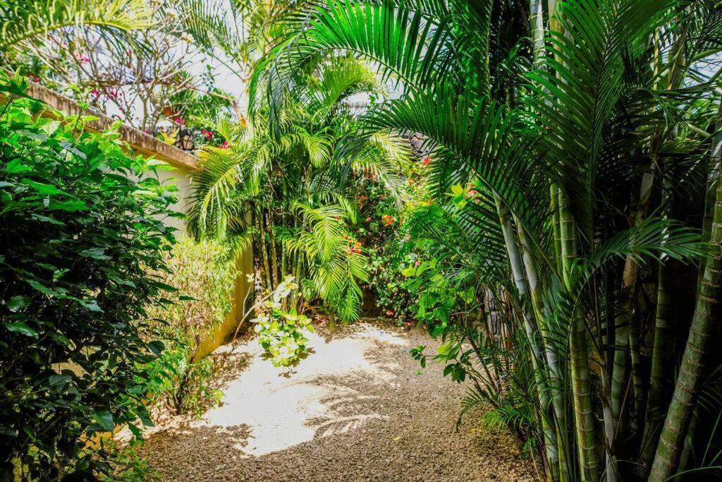 Villa Tropicale Balinaise Intimiste Grand Bay Exteriér fotografie